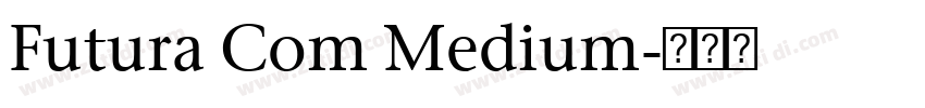 Futura Com Medium字体转换
